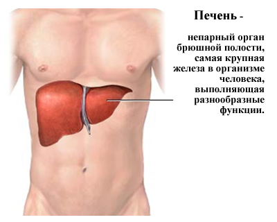 Кто поможет определить, какие препараты эффективнее софосбувир с даклатасвиром или ледипасвиром? - фото № 3