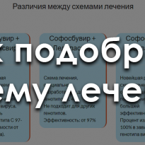 Гепатит С 6 генотип – эффективные схемы лечения