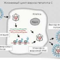 Проблема ХВГ для отечественного здравоохранения