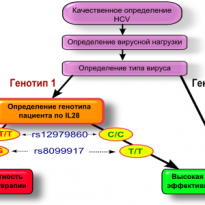 1 генотип гепатита С