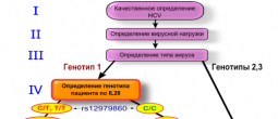 1 генотип гепатита С